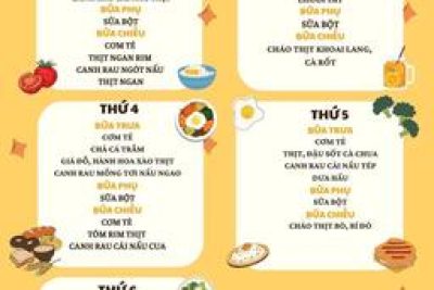 Thực đơn tháng 11 của bé